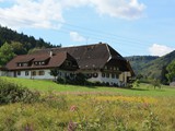 Urlaub in Deutschland (10)
Im Schwarzwald