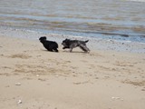Urlaub in Frankreich (12)