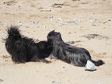 Urlaub in Frankreich (22)