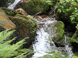 Urlaub in Frankreich (28)