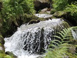 Urlaub in Frankreich (29)