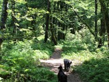 Urlaub in Frankreich (30)
