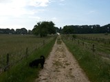 Urlaub in Deutschland (1)
Auf dem Weg ...