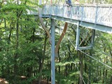 Urlaub in Deutschland (12)
Unterwegs auf einem Baumwipfelpfad
