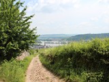 Urlaub in Deutschland (3)
... nach Rüdesheim