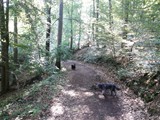 Urlaub in Deutschland (6)