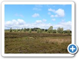 Urlaub in Dänemark 2019 (11)
Eine Rundwanderung durch die Lüneburger Heide