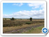 Urlaub in Dänemark 2019 (13)
... die Behringer Heide ...
