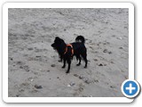 Urlaub in Dänemark 2019 (23)