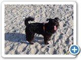 Urlaub in Dänemark 2019 (38)