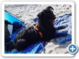 Urlaub in Dänemark 2019 (41)