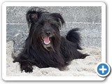 Urlaub in Dänemark 2019 (44)