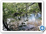 Urlaub in Dänemark 2019 (55)
Auch hier Wnaderungen im Wald und ...