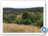 Urlaub in Dänemark 2019 (9)