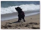 Urlaub in Frankreich (51)